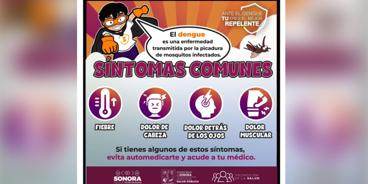 Llama Salud Sonora a eliminar criaderos de mosquitos antes de la temporada de lluvias