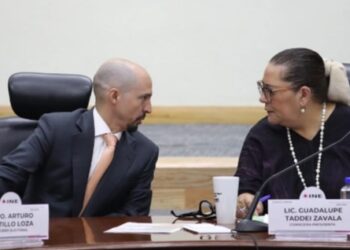 Taddei: sin sesgo político,representación en el Congreso