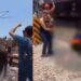 Por selfie, tren golpea a una mujer; murió en el sitio