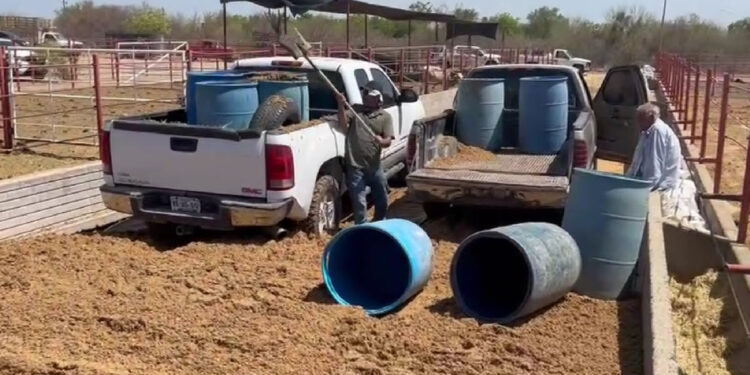 Atiende Gobierno de Sonora a productores ganaderos del Sur de Sonora