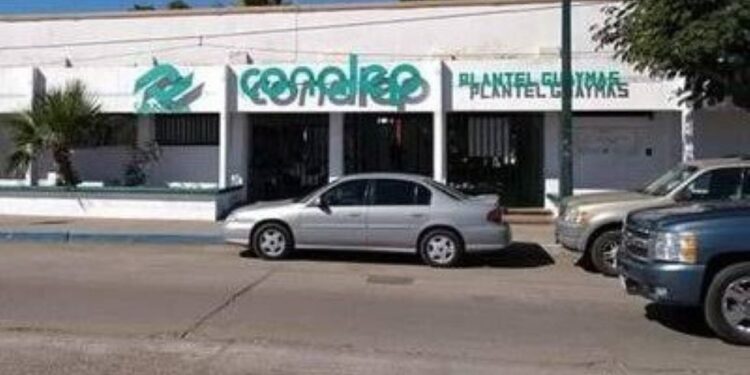 Inicia Conalep Sonora modernización del plantel Guaymas