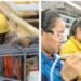 Sonora: segundo estado fronterizo con mayor crecimiento en su actividad económica en el primer trimestre 2024