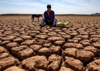 Ola de calor en Marruecos deja 21 muertos en 24 horas