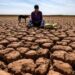 Ola de calor en Marruecos deja 21 muertos en 24 horas