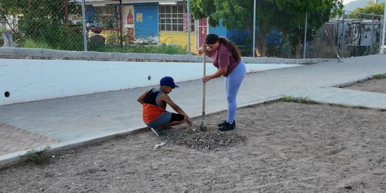 Entrega Ayuntamiento de Guaymas y Ecología Municipal árboles a vecinos del sector Centinela.