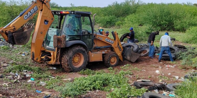 Sigue fuerte combate al dengue con más descacharre y limpieza