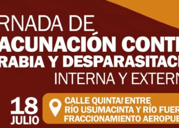 Jornadas de Vacunación y Desparasitación que el Centro de Atención Animal Navojoa