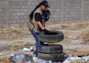 Mantiene Salud Sonora acciones efectivas contra el dengue
