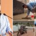  Avanza Ayuntamiento de Guaymas en obras de pavimentación