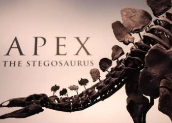 ¡Rompió récord! Subastan esqueleto de estegosaurio por más de 44 millones de dólares