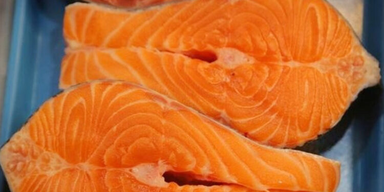Los precios del salmón alcanzan máximos de cinco años por plagas y baja producción