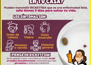 Trabaja Salud Sonora en acciones preventivas contra fiebre manchada por rickettsia rickettsii