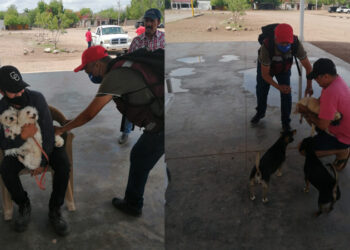INVITA SALUD MUNICIPAL A CAMPAÑA DE VACUNACIÓN ANTIRRÁBICA PARA MASCOTAS