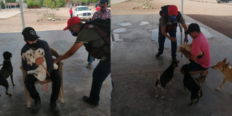 INVITA SALUD MUNICIPAL A CAMPAÑA DE VACUNACIÓN ANTIRRÁBICA PARA MASCOTAS