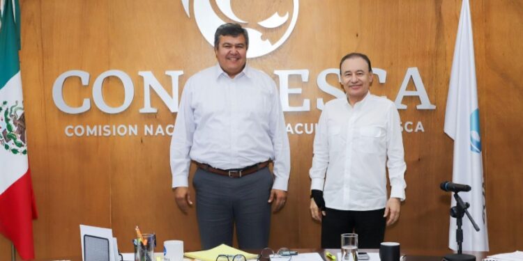 Sonora primer lugar en producción pesquera: Conapesca