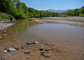 Autoridades investigan reporte en Río Yaqui por el momento no se ha detectado posible fuente de contaminación