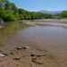 Autoridades investigan reporte en Río Yaqui por el momento no se ha detectado posible fuente de contaminación