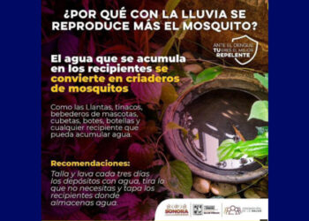 Salud Sonora llama a mantener hogares limpios para prevenir enfermedades como dengue y Rickettsiosis