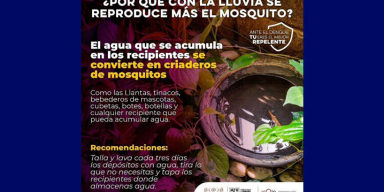Salud Sonora llama a mantener hogares limpios para prevenir enfermedades como dengue y Rickettsiosis