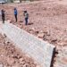 Mantiene Ayuntamiento de Guaymas trabajos de inspección.