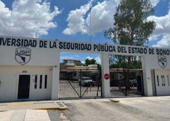 Ofrece USP espacios para cursar Derecho con enfoque en Seguridad Pública