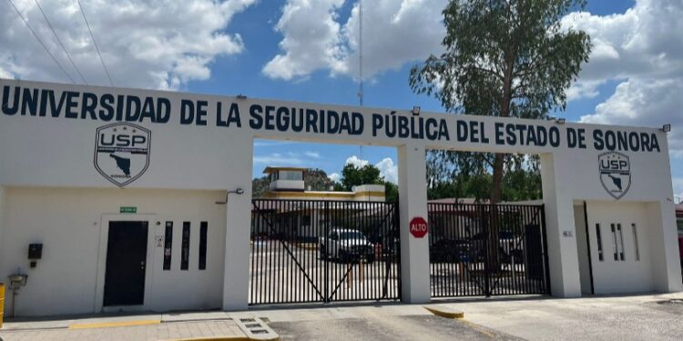 Ofrece USP espacios para cursar Derecho con enfoque en Seguridad Pública