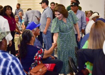 Vamos por un sistema de pensiones dignas: Lorenia Valles