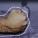 Fortalece SEC Sonora campaña para visualizar la violencia contra la mujer indígena