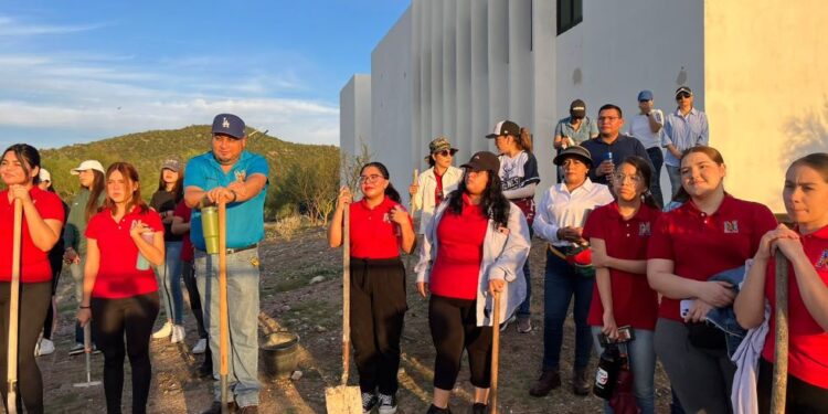 Estudiantes y personal del Creson realizan jornada de reforestación