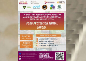 Anuncia el Gobierno de Sonora Primer Foro de Protección Animal