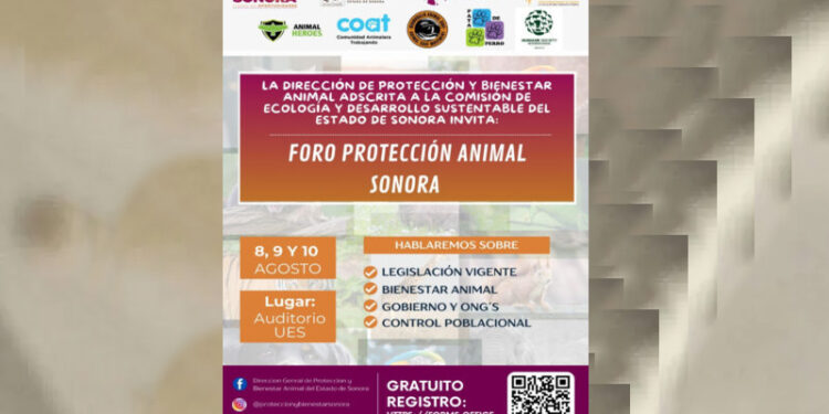 Anuncia el Gobierno de Sonora Primer Foro de Protección Animal
