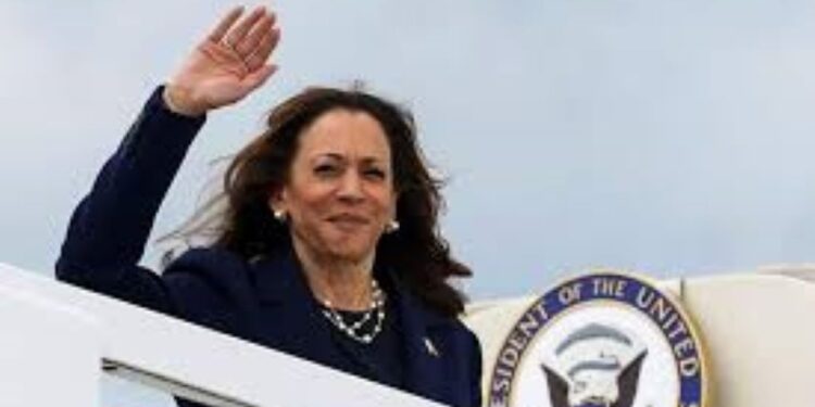 Comienza la votación para designar a Kamala Harris como candidata demócrata