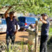 Avanza Gobierno del Estado en trabajos de red de agua potable en la colonia Tres Reinas*