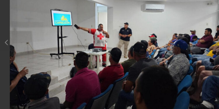 Capacitan a pescadores y #buzos sobre prevención de accidentes con #tiburones en Sonora