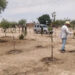 Promueve el Gobierno de Sonora la creación de huertos familiares