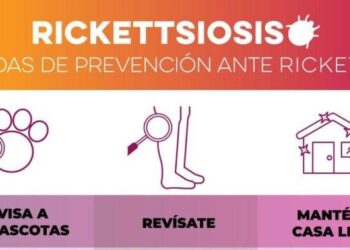 Salud Sonora mantiene a la baja mortalidad por rickettsiosis