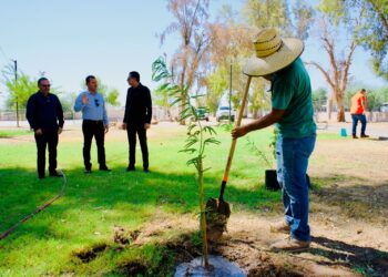 Inicia Obras Públicas nuevo programa de reforestación