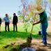 Inicia Obras Públicas nuevo programa de reforestación