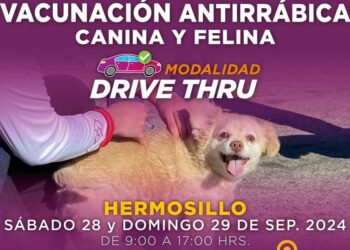 Acerca Salud Sonora vacunación antirrábica en diferentes modalidades