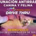 Acerca Salud Sonora vacunación antirrábica en diferentes modalidades
