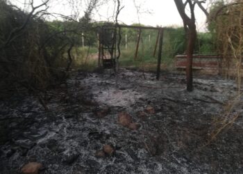 Controlan Bomberos de Pueblo Yaqui y Cajeme  incendio en campo 30