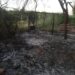 Controlan Bomberos de Pueblo Yaqui y Cajeme  incendio en campo 30
