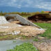 Colapsa muro en parque ecológico de Texcoco; no descartan un sabotaje
