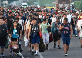 Activa INM corredor para movilidad segura de migrantes rumbo a EU