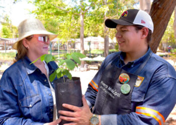 Donará Gobierno de Hermosillo árboles nativos
