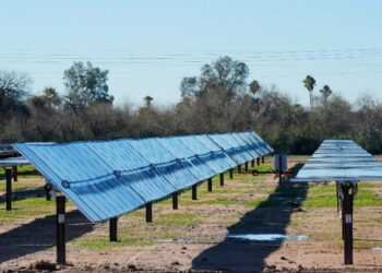 China aporta 40% de la nueva energía renovable en el mundo