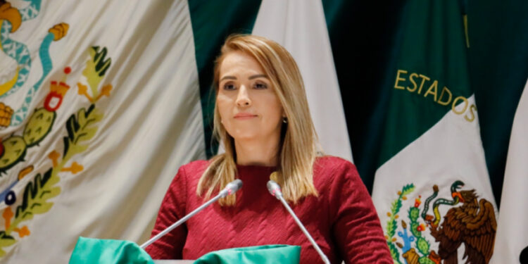Importante Adicionar Principios De Mínima Intervención Y No Revictimización De Menores De Edad: Marcela “Maval” Valenzuela.