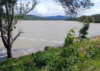 Presa de Cointzio en Michoacán se encuentra al 95.8% de su capacidad