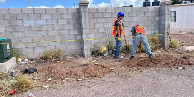 Participa Ayuntamiento de Guaymas en trabajos de alumbrado público