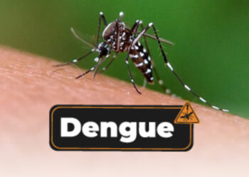 Sonora en los últimos lugares a nivel nacional en casos confirmados de dengue